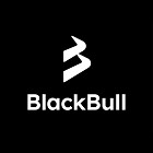 Recenzie BlackBull Markets 2024
