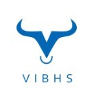 Revisão de VIBHS Financial 2024
